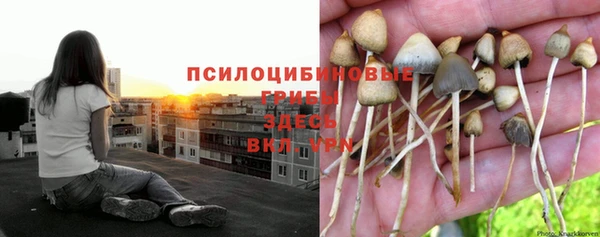 марихуана Аркадак