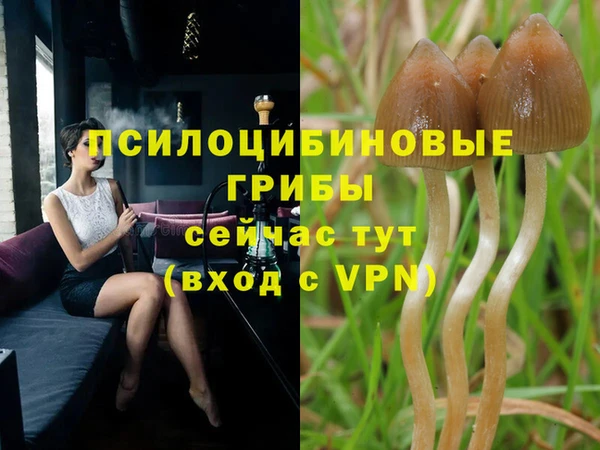 а пвп мука Абдулино