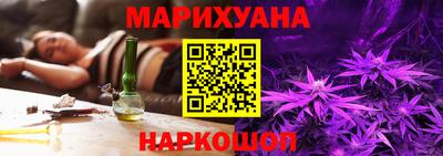 a pvp Камышлов