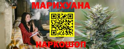 a pvp Камышлов
