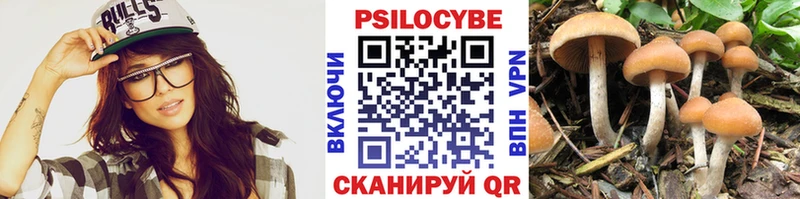 Псилоцибиновые грибы MAGIC MUSHROOMS  Лабинск 