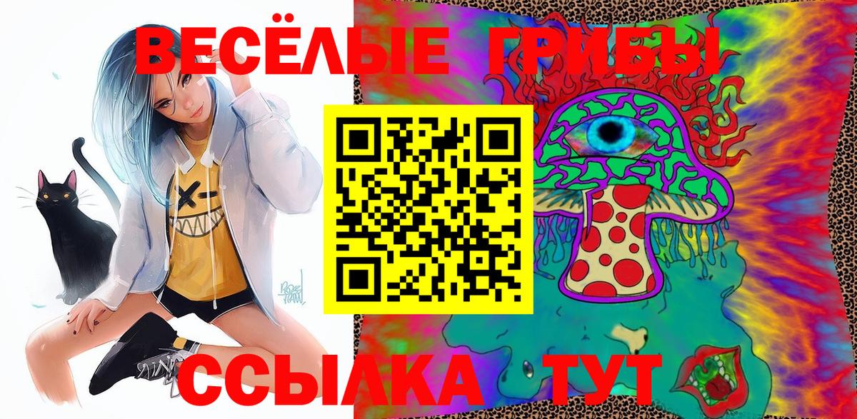 Галлюциногенные грибы GOLDEN TEACHER Лабинск
